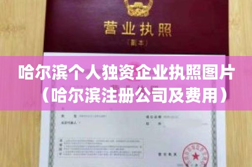 哈尔滨个人独资企业执照图片（哈尔滨注册公司及费用）