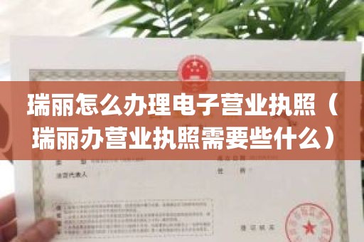 瑞丽怎么办理电子营业执照（瑞丽办营业执照需要些什么）