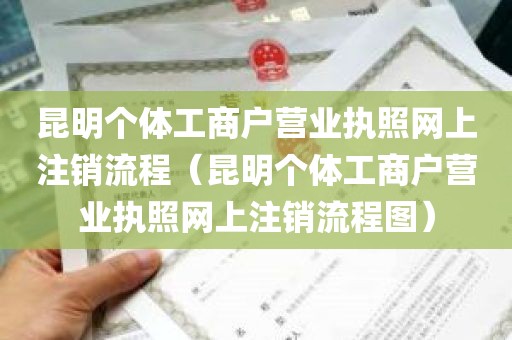 昆明个体工商户营业执照网上注销流程（昆明个体工商户营业执照网上注销流程图）