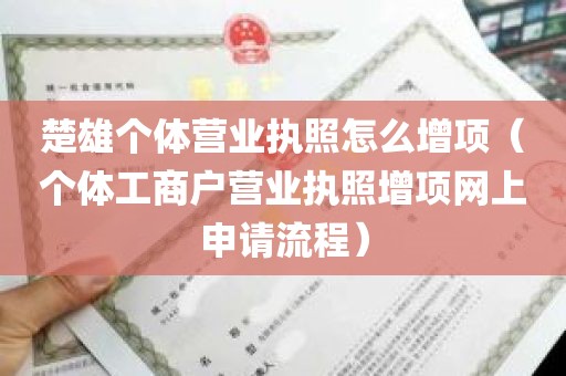 楚雄个体营业执照怎么增项（个体工商户营业执照增项网上申请流程）