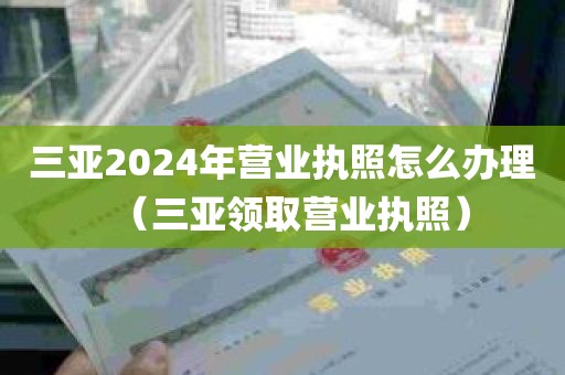 三亚2024年营业执照怎么办理（三亚领取营业执照）