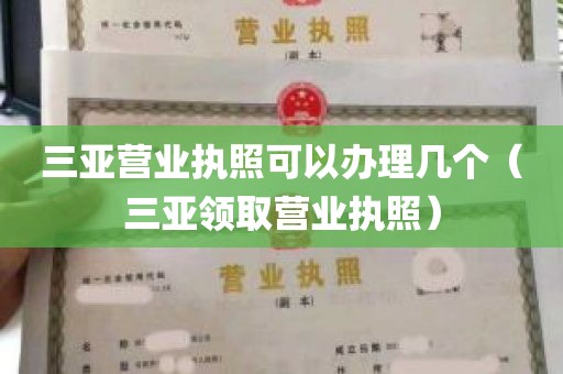 三亚营业执照可以办理几个（三亚领取营业执照）