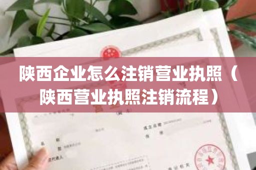 陕西企业怎么注销营业执照（陕西营业执照注销流程）