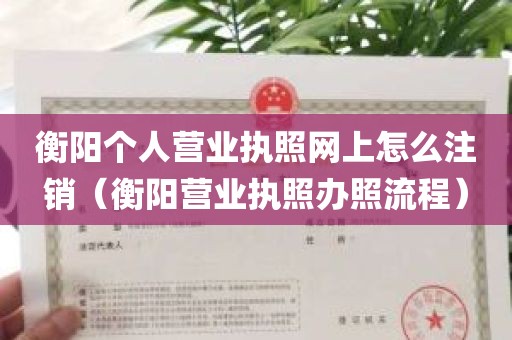 衡阳个人营业执照网上怎么注销（衡阳营业执照办照流程）