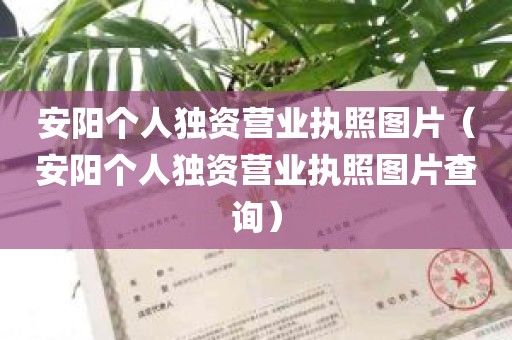 安阳个人独资营业执照图片（安阳个人独资营业执照图片查询）