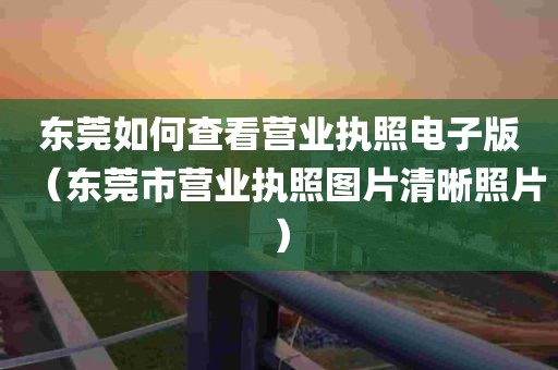 东莞如何查看营业执照电子版（东莞市营业执照图片清晰照片）