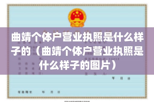 曲靖个体户营业执照是什么样子的（曲靖个体户营业执照是什么样子的图片）