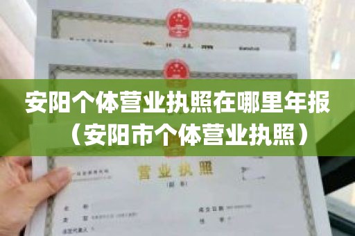 安阳个体营业执照在哪里年报（安阳市个体营业执照）