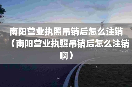 南阳营业执照吊销后怎么注销（南阳营业执照吊销后怎么注销啊）