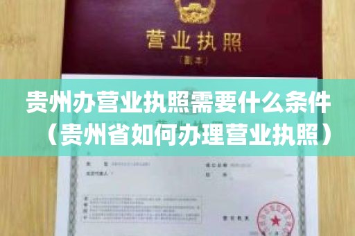 贵州办营业执照需要什么条件（贵州省如何办理营业执照）