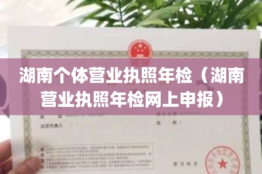 湖南个体营业执照年检（湖南营业执照年检网上申报）