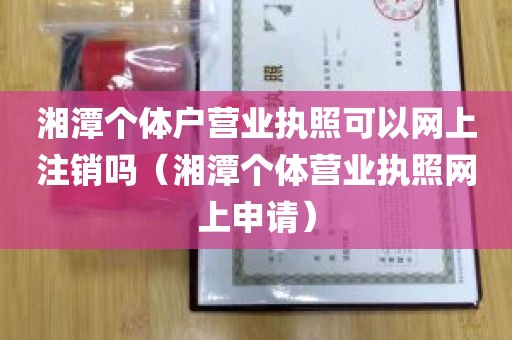 湘潭个体户营业执照可以网上注销吗（湘潭个体营业执照网上申请）