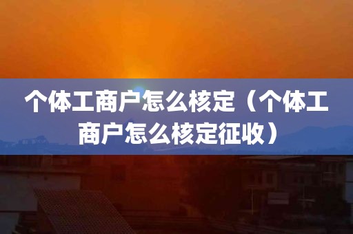 个体工商户怎么核定（个体工商户怎么核定征收）