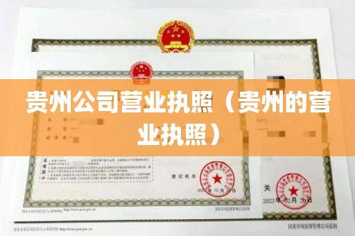 贵州公司营业执照（贵州的营业执照）