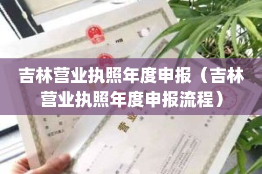 吉林营业执照年度申报（吉林营业执照年度申报流程）