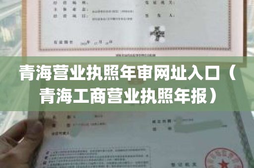 青海营业执照年审网址入口（青海工商营业执照年报）