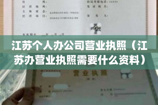 江苏个人办公司营业执照（江苏办营业执照需要什么资料）