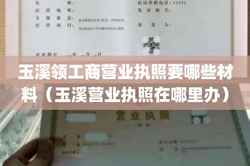 玉溪领工商营业执照要哪些材料（玉溪营业执照在哪里办）