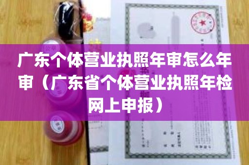 广东个体营业执照年审怎么年审（广东省个体营业执照年检网上申报）