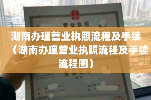 湖南办理营业执照流程及手续（湖南办理营业执照流程及手续流程图）