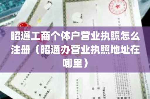 昭通工商个体户营业执照怎么注册（昭通办营业执照地址在哪里）