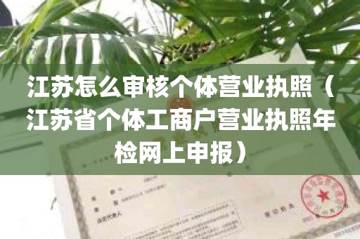 江苏怎么审核个体营业执照（江苏省个体工商户营业执照年检网上申报）