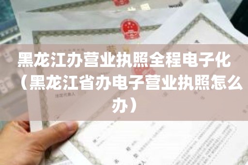 黑龙江办营业执照全程电子化（黑龙江省办电子营业执照怎么办）