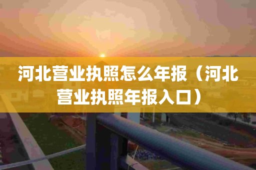 河北营业执照怎么年报（河北营业执照年报入口）