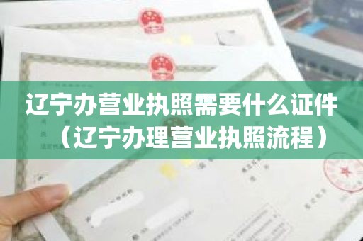 辽宁办营业执照需要什么证件（辽宁办理营业执照流程）