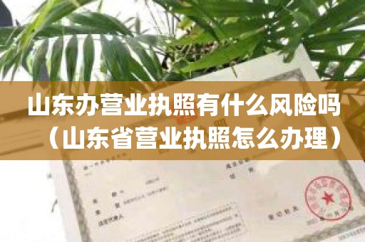 山东办营业执照有什么风险吗（山东省营业执照怎么办理）