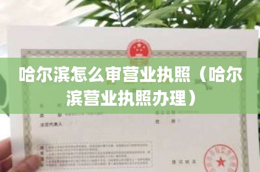 哈尔滨怎么审营业执照（哈尔滨营业执照办理）