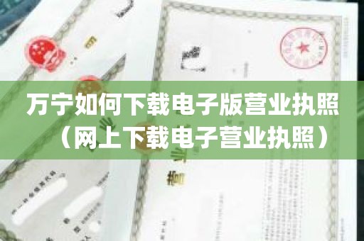 万宁如何下载电子版营业执照（网上下载电子营业执照）