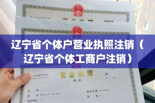 辽宁省个体户营业执照注销（辽宁省个体工商户注销）