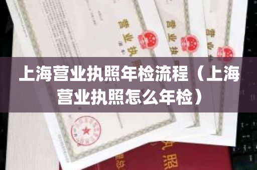 上海营业执照年检流程（上海营业执照怎么年检）