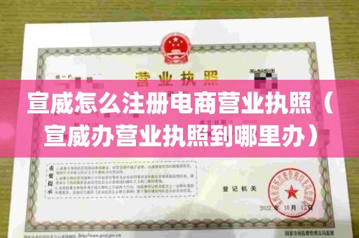 宣威怎么注册电商营业执照（宣威办营业执照到哪里办）