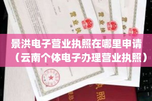 景洪电子营业执照在哪里申请（云南个体电子办理营业执照）