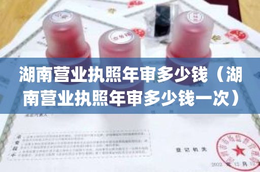 湖南营业执照年审多少钱（湖南营业执照年审多少钱一次）