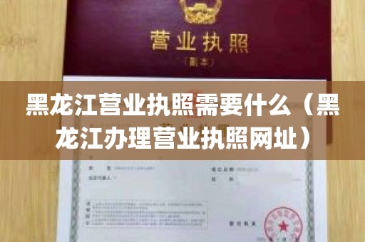 黑龙江营业执照需要什么（黑龙江办理营业执照网址）