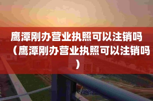 鹰潭刚办营业执照可以注销吗（鹰潭刚办营业执照可以注销吗）