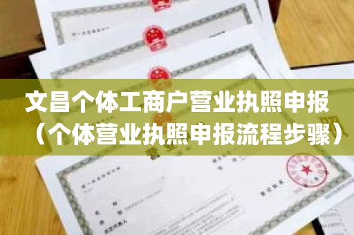 文昌个体工商户营业执照申报（个体营业执照申报流程步骤）