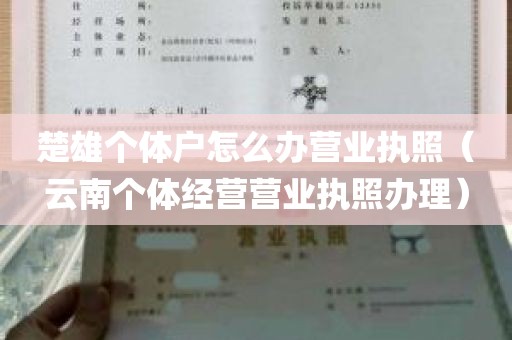 楚雄个体户怎么办营业执照（云南个体经营营业执照办理）