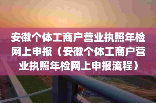 安徽个体工商户营业执照年检网上申报（安徽个体工商户营业执照年检网上申报流程）