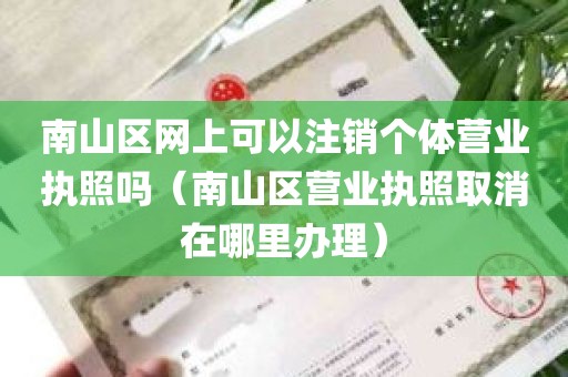 南山区网上可以注销个体营业执照吗（南山区营业执照取消在哪里办理）