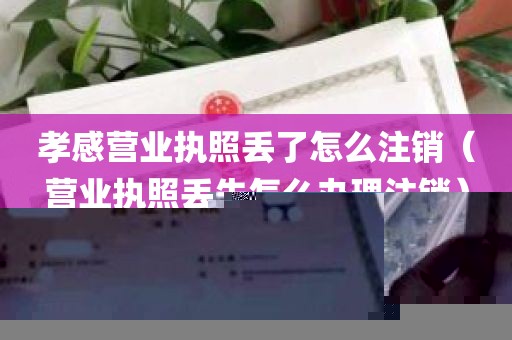 孝感营业执照丢了怎么注销（营业执照丢失怎么办理注销）