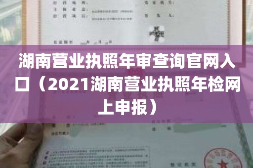 湖南营业执照年审查询官网入口（2021湖南营业执照年检网上申报）