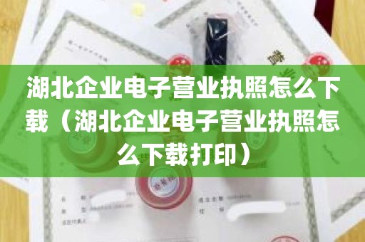 湖北企业电子营业执照怎么下载（湖北企业电子营业执照怎么下载打印）