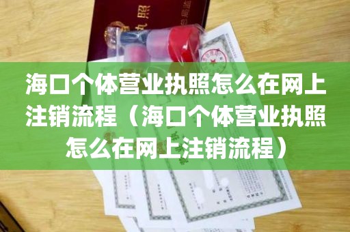 海口个体营业执照怎么在网上注销流程（海口个体营业执照怎么在网上注销流程）