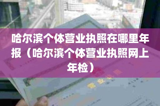 哈尔滨个体营业执照在哪里年报（哈尔滨个体营业执照网上年检）