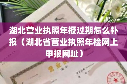 湖北营业执照年报过期怎么补报（湖北省营业执照年检网上申报网址）