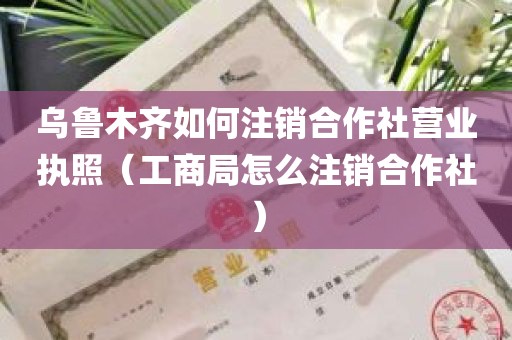 乌鲁木齐如何注销合作社营业执照（工商局怎么注销合作社）